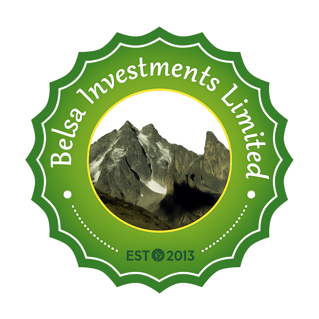 Belsa Investment Ltd